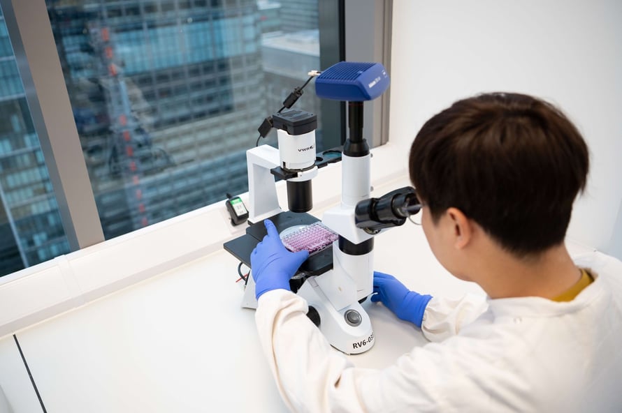 hVIVO_Lab_Services_Assay_Validation