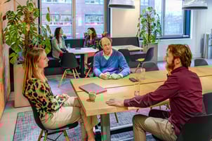 hVIVO_Regulatory_Consulting_Services