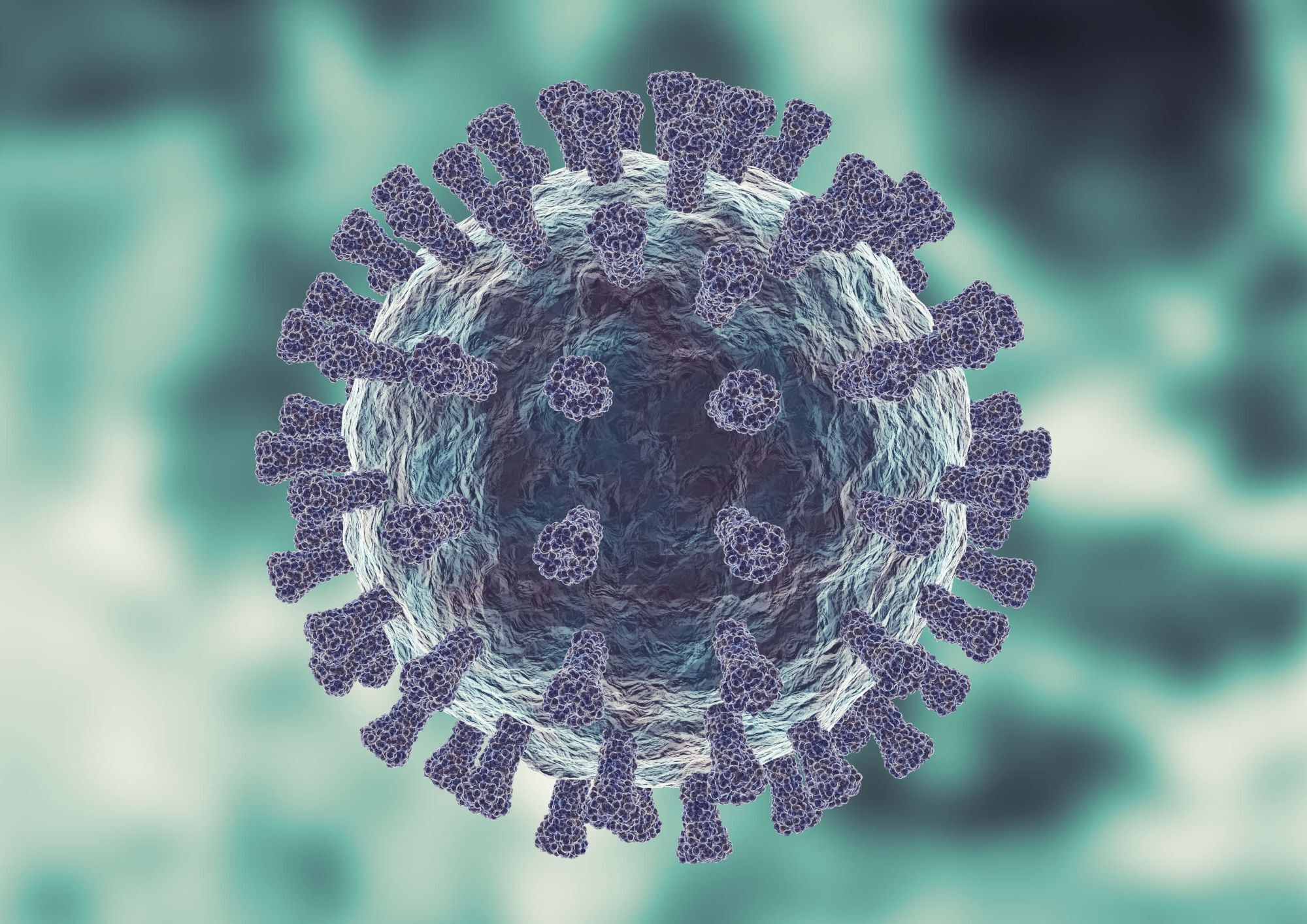 hMPV virus Stock-1360222508