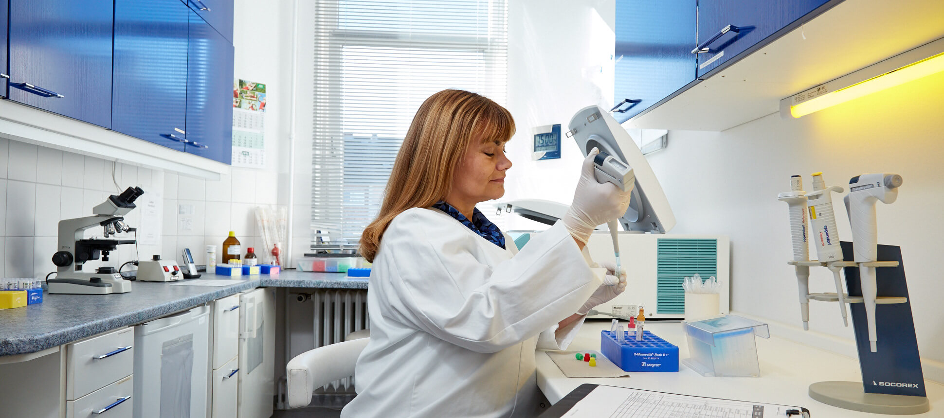 hVIVO Kiel Processing Lab
