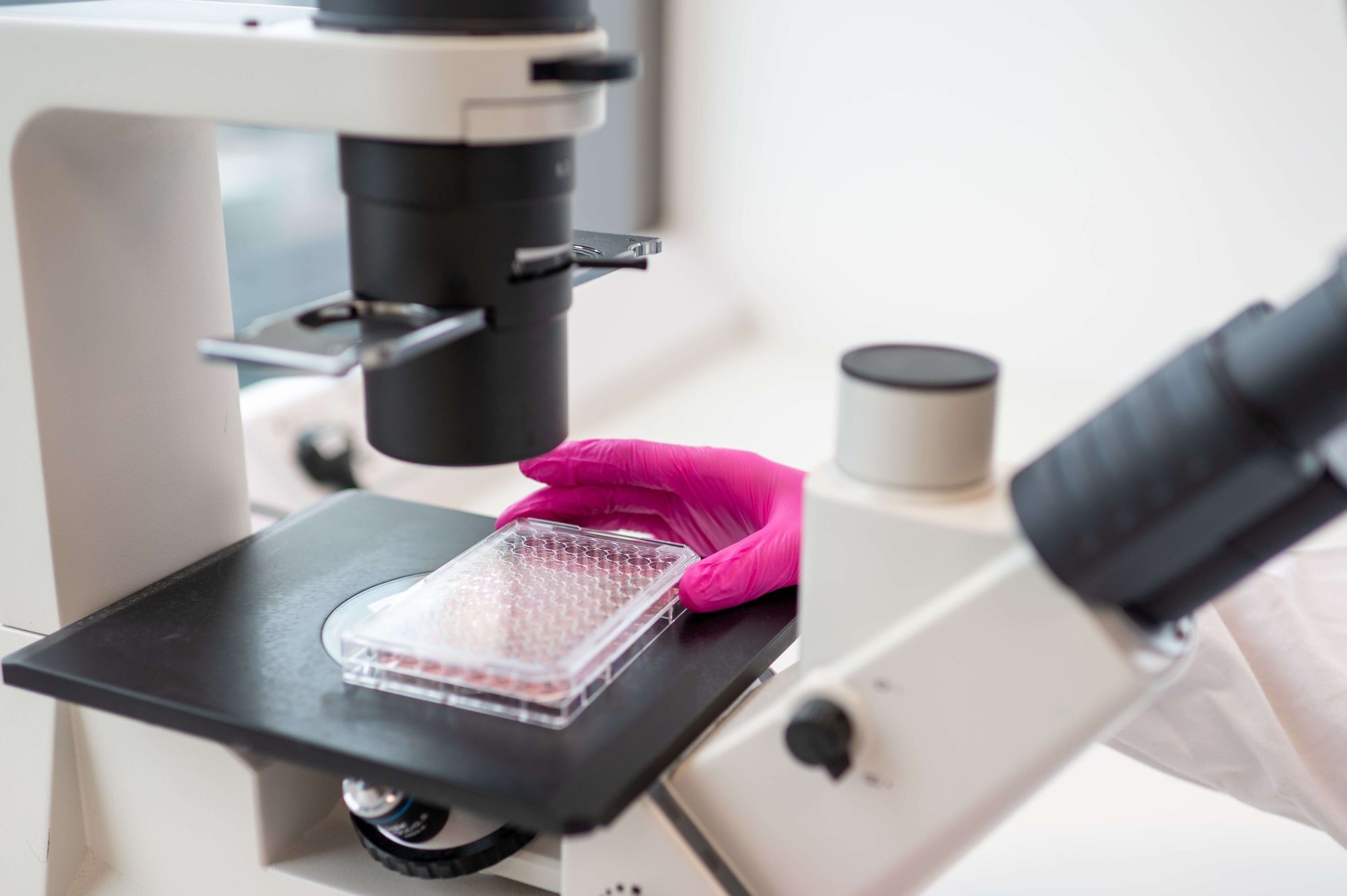 Smarter Molecular Strategies for Infectious Disease Trials: Turning Complex Data into Clinical Advantage