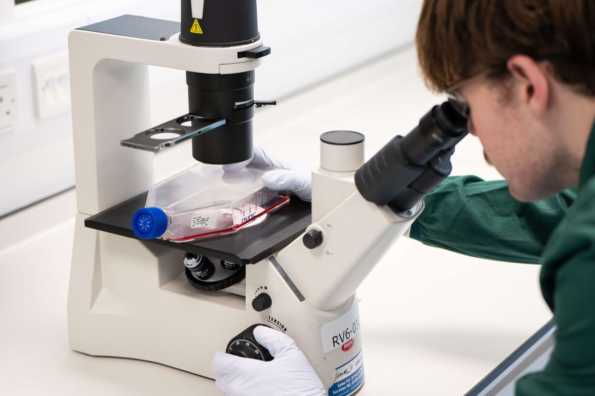 hVIVO_Lab_Services_Cell_Culture_miroscope