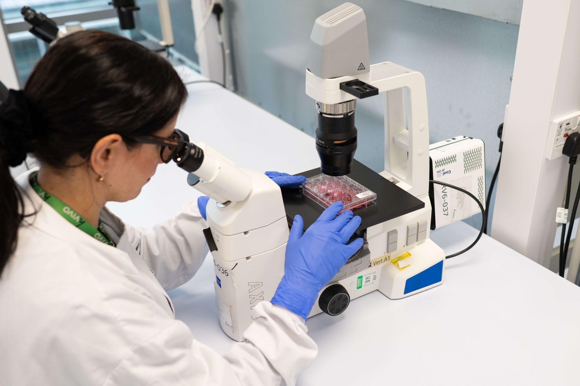 hVIVO_Lab_Services_Sample_analysis_microscope