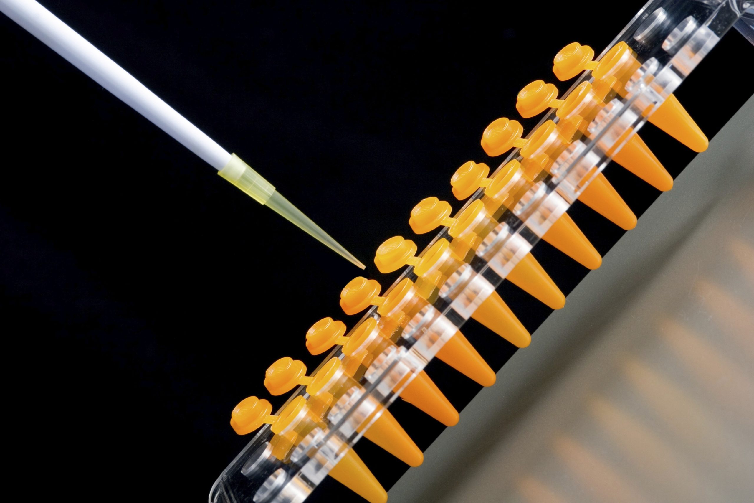 SaxoCell Conference on Cell and Gene Therapy